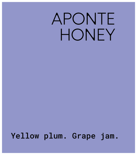 Aponte honey - Colombia