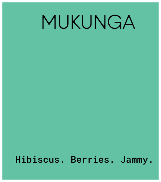 Mukunga - Kenya